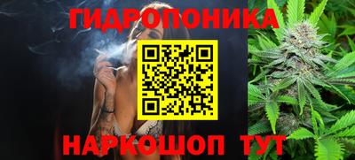 скорость Лесосибирск